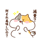 猫ボクサー（個別スタンプ：36）