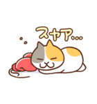 猫ボクサー（個別スタンプ：40）