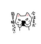 ソシャゲ用白猫スタンプ（個別スタンプ：34）