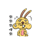 yolk bunny（個別スタンプ：40）