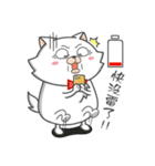 Tie cat 1（個別スタンプ：5）