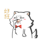 Tie cat 1（個別スタンプ：10）