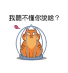 Cats coming！（個別スタンプ：6）