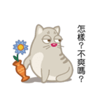 Cats coming！（個別スタンプ：25）