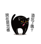 Cats coming！（個別スタンプ：29）