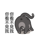 Cats coming！（個別スタンプ：37）