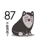 Cats coming！（個別スタンプ：38）