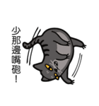 Cats coming！（個別スタンプ：39）