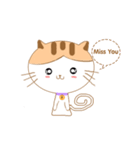 Nut-In Cat（個別スタンプ：5）