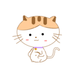 Nut-In Cat（個別スタンプ：13）