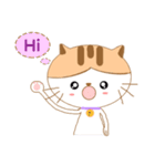 Nut-In Cat（個別スタンプ：17）