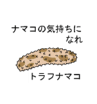 ナマコで話そう（個別スタンプ：4）