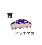 ナマコで話そう（個別スタンプ：9）