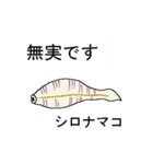 ナマコで話そう（個別スタンプ：34）