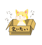 構ってにゃんこ（個別スタンプ：16）