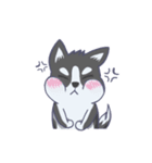 Husky thirty-three - dogs daily（個別スタンプ：3）