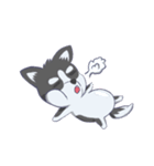 Husky thirty-three - dogs daily（個別スタンプ：15）