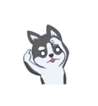 Husky thirty-three - dogs daily（個別スタンプ：19）