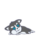 Husky thirty-three - dogs daily（個別スタンプ：28）