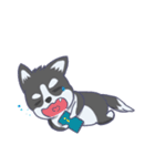 Husky thirty-three - dogs daily（個別スタンプ：29）