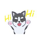 Husky thirty-three - dogs daily（個別スタンプ：34）