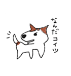 Maru JRT（個別スタンプ：5）