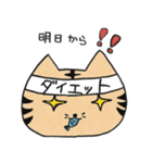 とら猫 ヒンヒン（個別スタンプ：27）