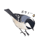 日本の野鳥～夏山の野鳥～（個別スタンプ：13）