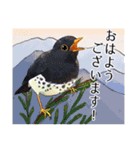 日本の野鳥～夏山の野鳥～（個別スタンプ：20）