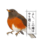 日本の野鳥～夏山の野鳥～（個別スタンプ：21）