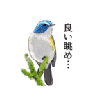 日本の野鳥～夏山の野鳥～（個別スタンプ：29）
