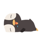 Dong Dong Penguin（個別スタンプ：6）