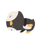 Dong Dong Penguin（個別スタンプ：7）