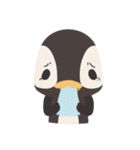 Dong Dong Penguin（個別スタンプ：38）