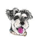 Smiley Schnauzers（個別スタンプ：2）