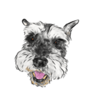 Smiley Schnauzers（個別スタンプ：9）