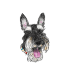 Smiley Schnauzers（個別スタンプ：12）