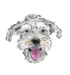 Smiley Schnauzers（個別スタンプ：23）