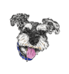 Smiley Schnauzers（個別スタンプ：24）