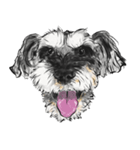 Smiley Schnauzers（個別スタンプ：27）