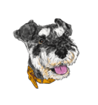 Smiley Schnauzers（個別スタンプ：31）