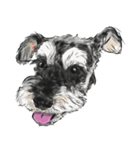 Smiley Schnauzers（個別スタンプ：33）