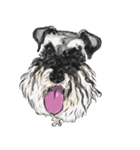 Smiley Schnauzers（個別スタンプ：37）