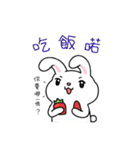 Tease Rabbit（個別スタンプ：15）