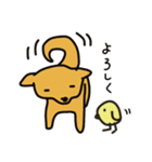 柴犬と仲間たち（個別スタンプ：12）