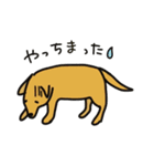 柴犬と仲間たち（個別スタンプ：15）