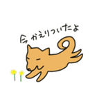 柴犬と仲間たち（個別スタンプ：23）