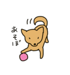 柴犬と仲間たち（個別スタンプ：39）