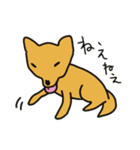 柴犬と仲間たち（個別スタンプ：40）