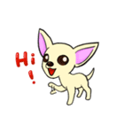 Sweetheart~the Big Ears Chihuahua（個別スタンプ：1）